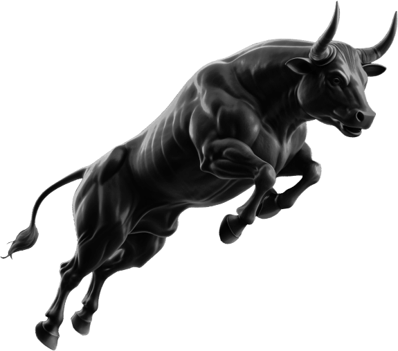 bull image